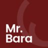 Mr.Bara - Responsive Multi-Purpose eCommerce WordPress Theme