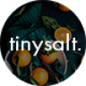 TinySalt - Personal Food Blog WordPress Theme