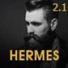 Hermes - Multi-Purpose Premium Responsive WordPress Theme